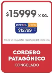 X$ - CORDERO PATAGÓNICO