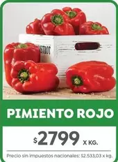 Rojo - PIMIENTO ROJO