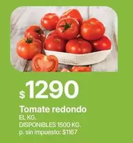Redondo - Tomate redondo