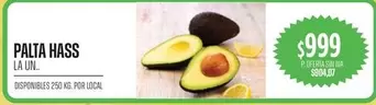 PALTA HASS