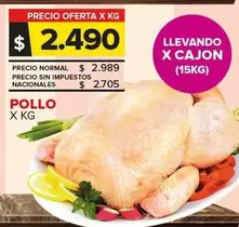 Pollo