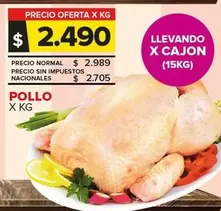 Pollo