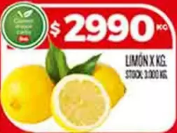 X$ - LIMÓN X KG