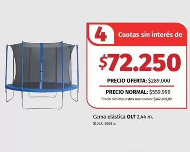 Cama elástica OLT 2,44 m.