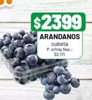 ARANDANOS