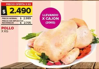 Pollo