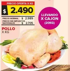 Pollo