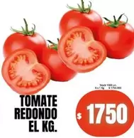 Redondo - TOMATE REDONDO