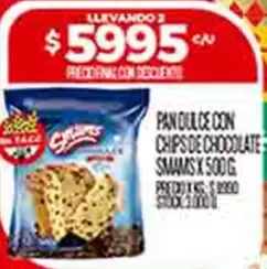 PAN DULCE CON CHIPS DE CHOCOLATE