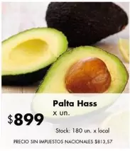 X$ - Palta Hass