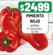 Rojo - PIMIENTO ROJO