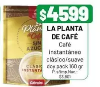 La planta - LA PLANTA DE CAFÉ