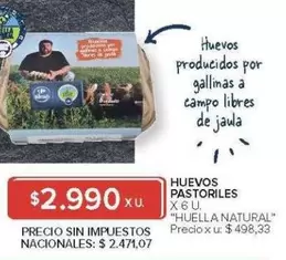 X$ - HUEVOS PASTORILES