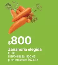 Zanahoria elegida