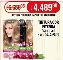 GARNIER - TINTURA COR INTENSA