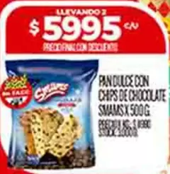 PAN DULCE CON CHIPS DE CHOCOLATE