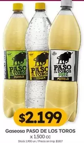 Toro - PASO DE LOS TOROS