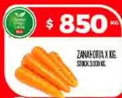 X$ - ZANAHORIA X KG.