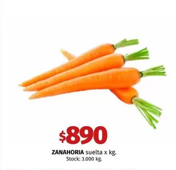 X$ - ZANAHORIA suelta