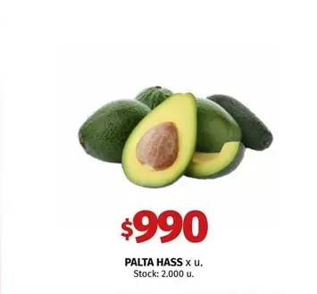 X$ - PALTA HASS x u.