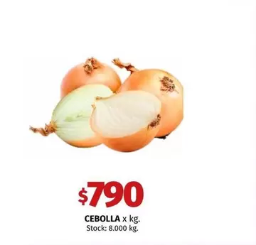 X$ - CEBOLLA
