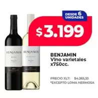 Benjamin - Vino varietales
