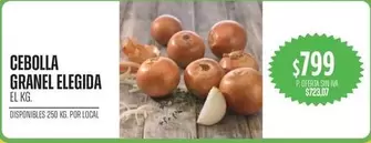 CEBOLLA GRANEL ELEGIDA