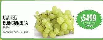 UVA RED/ BLANCA/NEGRA