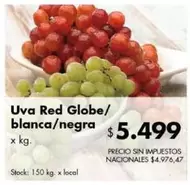 X$ - Uva Red Globe/blanca/negra