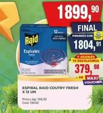 Raid - ESPIRAL COUTRY FRESH
