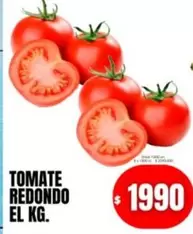 Redondo - TOMATE REDONDO