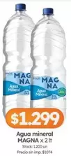 Magna - Agua mineral