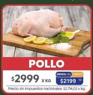X$ - POLLO