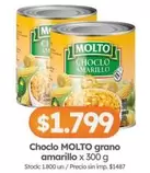 Molto - Choclo grano amarillo