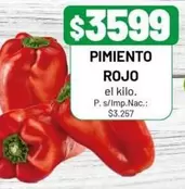 Rojo - PIMIENTO ROJO