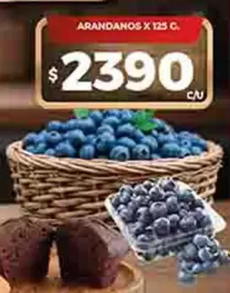 X$ - ARANDANOS X 125 G.