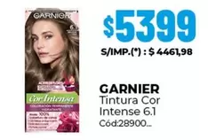 GARNIER - Tintura Cor Intense 6.1
