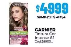 GARNIER - Tintura Cor Intense 6.1