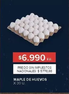 XL - MAPLE DE HUEVOS