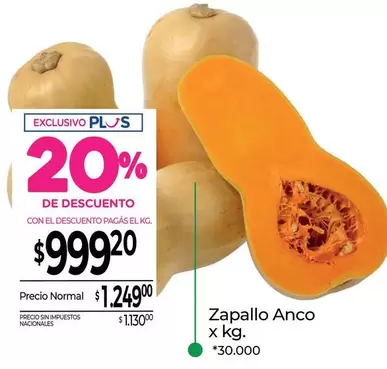 X$ - Zapallo Anco