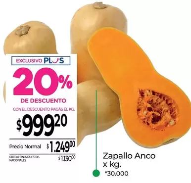 X$ - Zapallo Anco