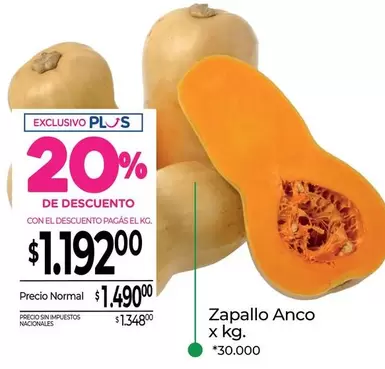 X$ - Zapallo Anco