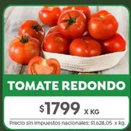 Redondo - TOMATE REDONDO