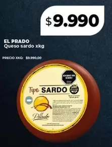 Sardo - Queso sardo xkg