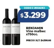 Benjamin - Vino malbec