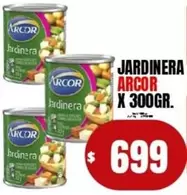 Arcor - JARDINERA