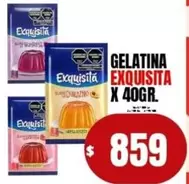 Exquisita - GELATINA