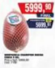 IMPORTADA CHAMPION REDONDA