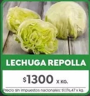 X$ - LECHUGA REPOLLA