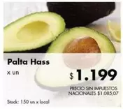 X$ - Palta Hass